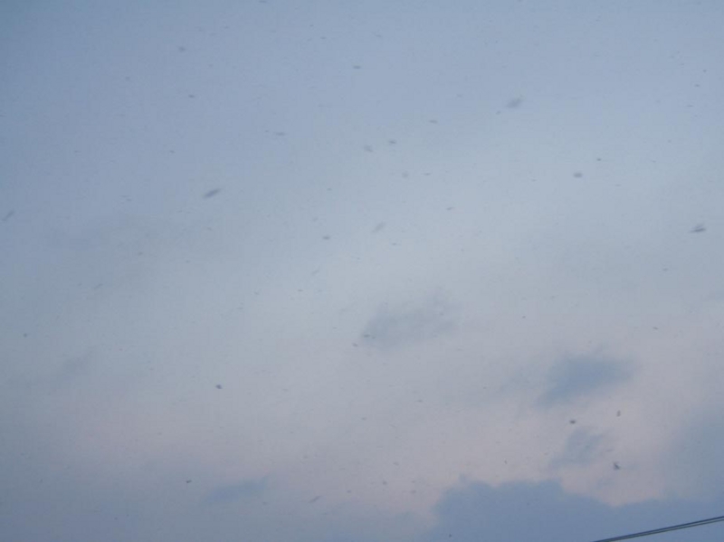 f:id:atarou:20100309051918j:image f:id:atarou:20100309051918j:image