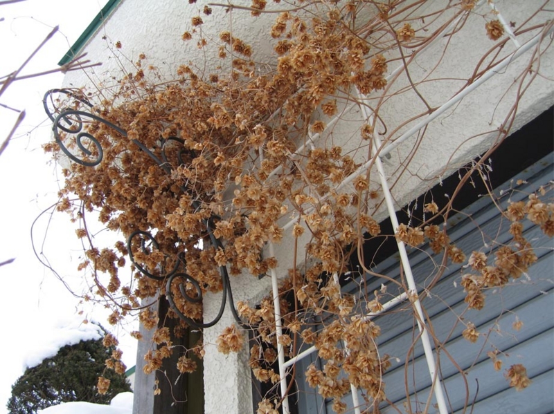 f:id:atarou:20100309185038j:image