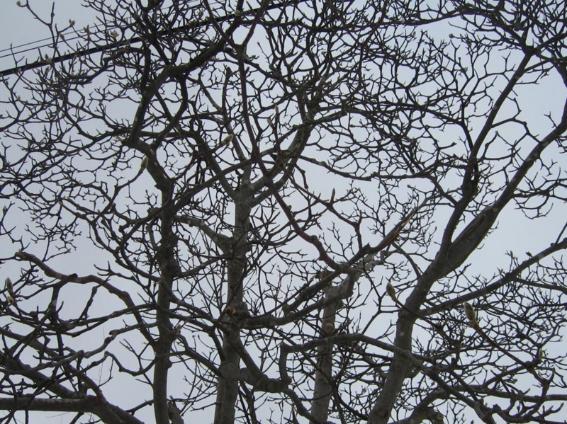 f:id:atarou:20100310055452j:image