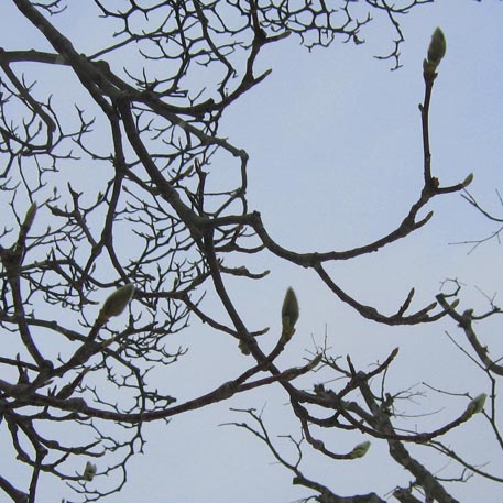 f:id:atarou:20100310055455j:image