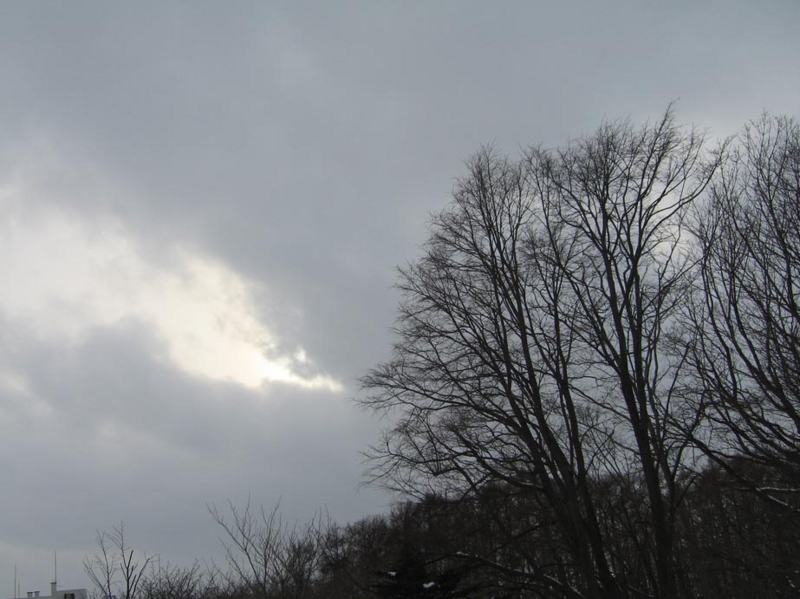 f:id:atarou:20100310060821j:image
