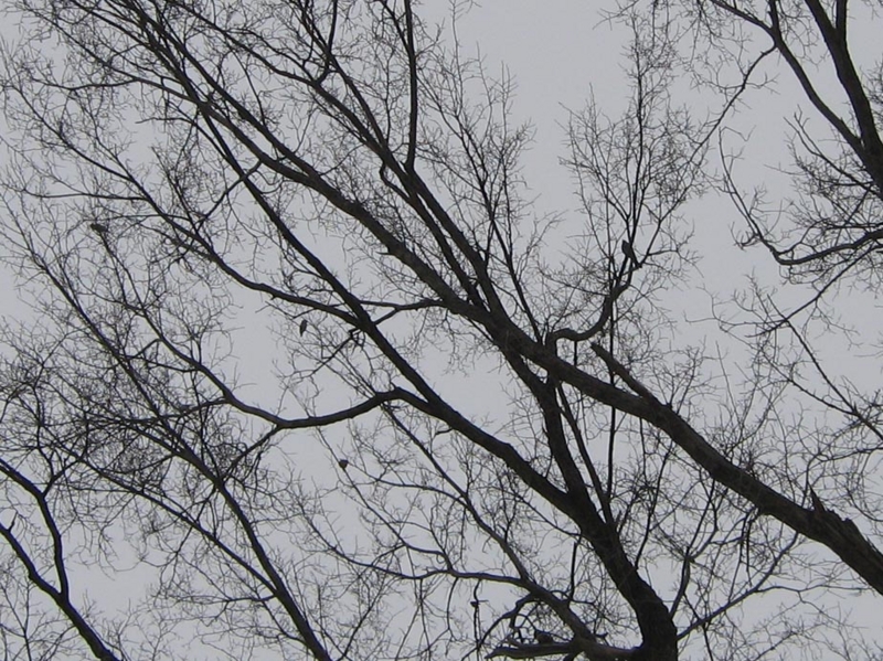 f:id:atarou:20100310192616j:image