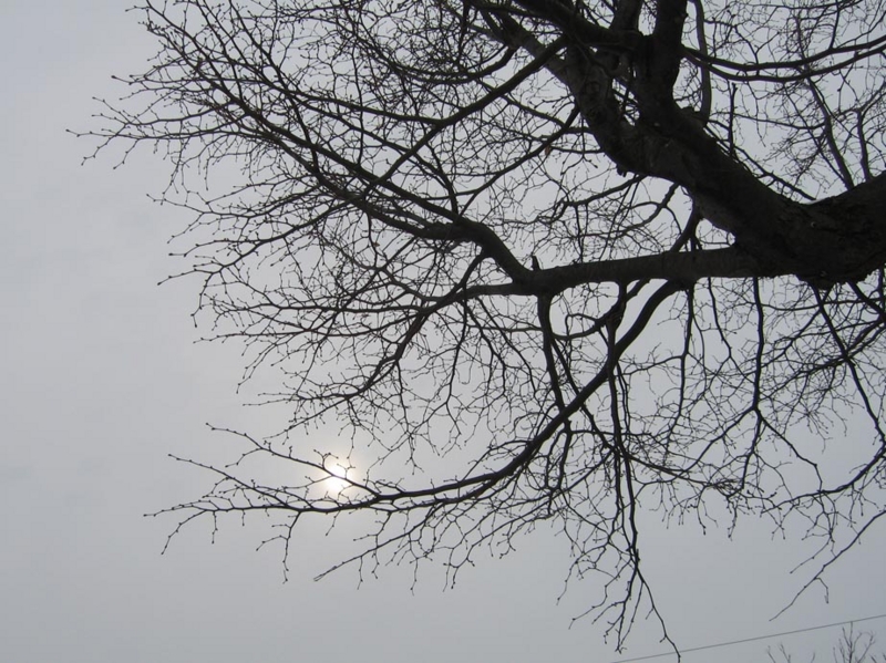 f:id:atarou:20100311055511j:image