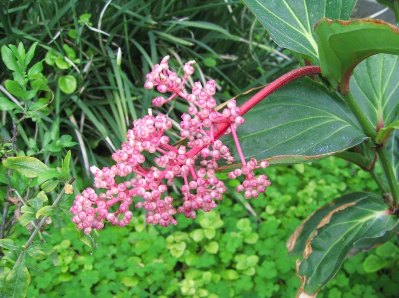 f:id:atarou:20100312204429j:image