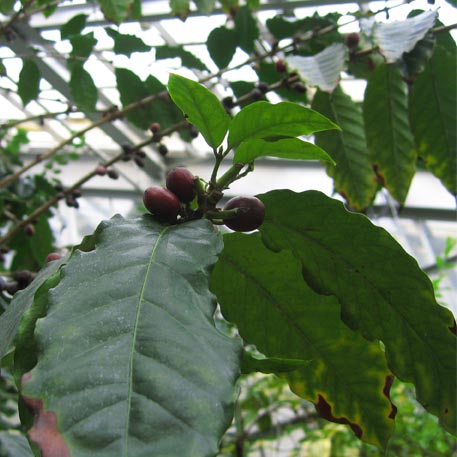 f:id:atarou:20100312204850j:image