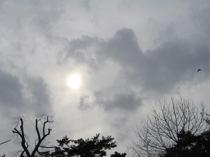 f:id:atarou:20100314062359j:image