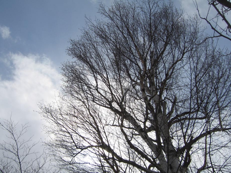 f:id:atarou:20100315054127j:image