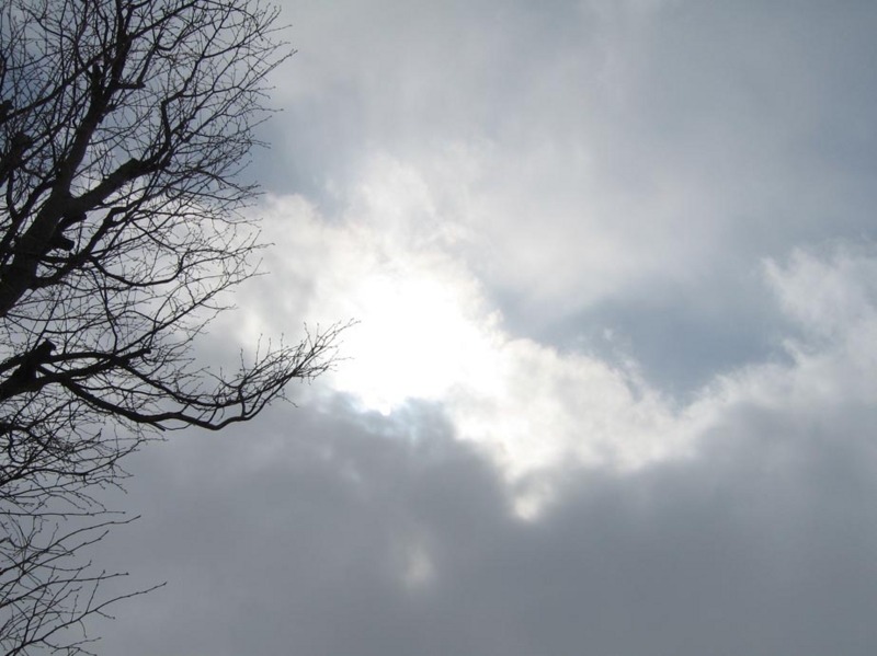 f:id:atarou:20100315061616j:image