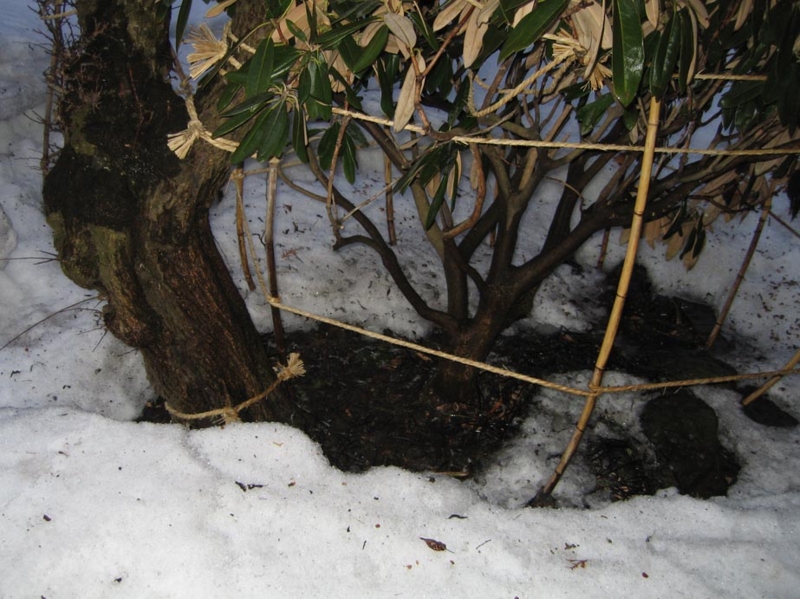 f:id:atarou:20100316062811j:image