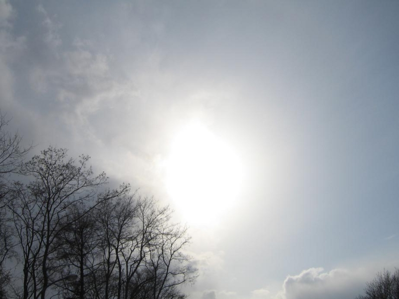 f:id:atarou:20100317054213j:image