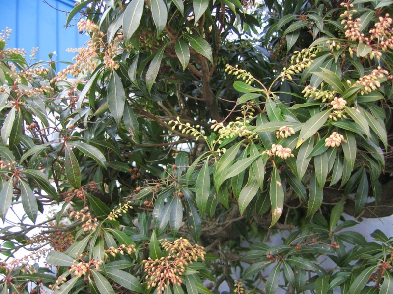 f:id:atarou:20100317201916j:image