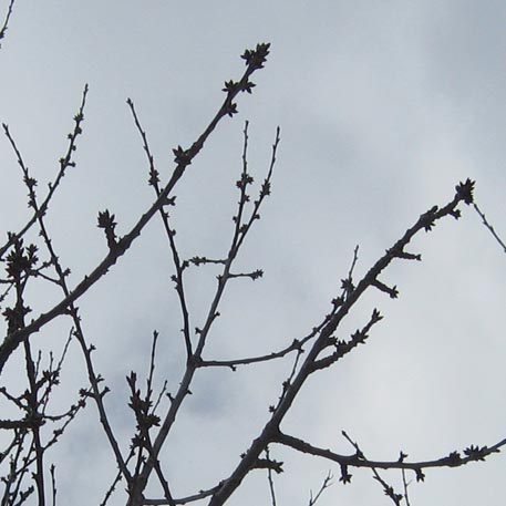 f:id:atarou:20100318061547j:image