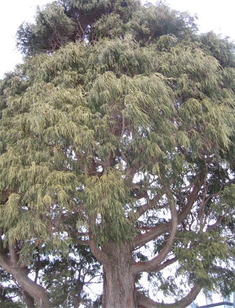f:id:atarou:20100319181223j:image f:id:atarou:20100319181223j:image