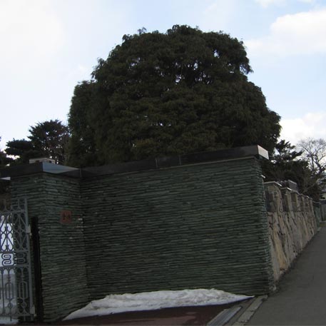 f:id:atarou:20100319181225j:image f:id:atarou:20100319181225j:image