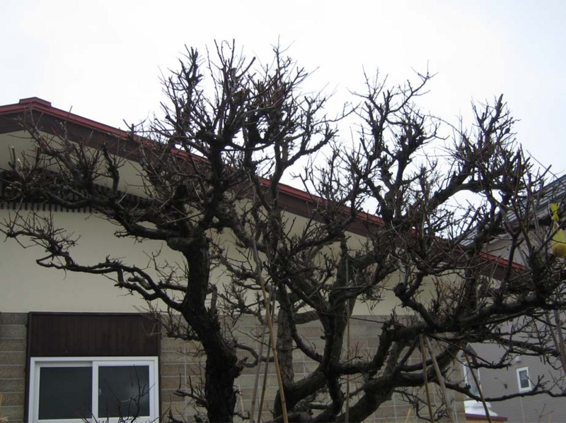 f:id:atarou:20100320191200j:image