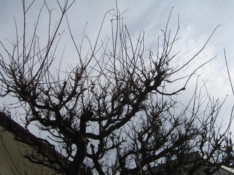 f:id:atarou:20100320192635j:image