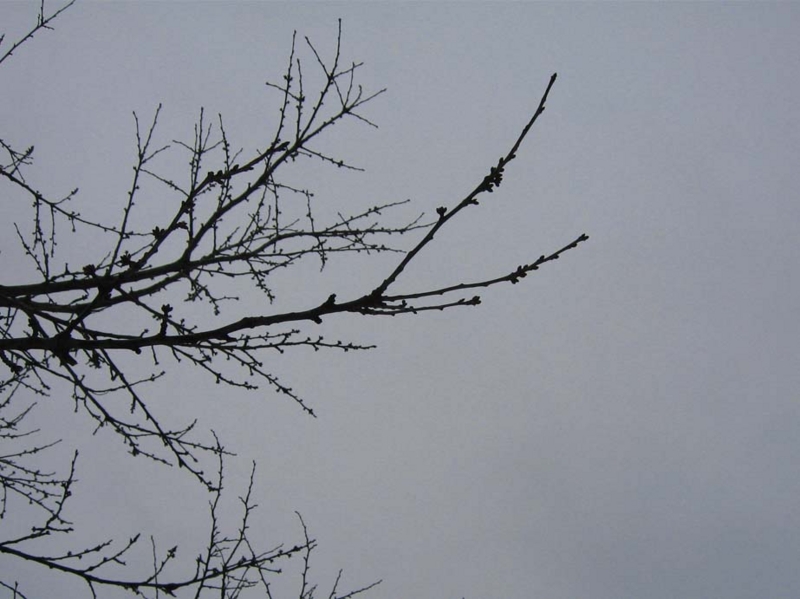 f:id:atarou:20100321055905j:image