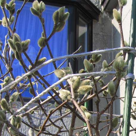 f:id:atarou:20100321190440j:image