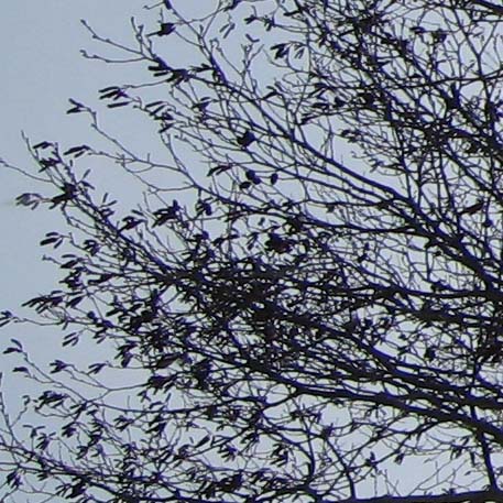 f:id:atarou:20100322035646j:image