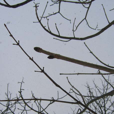 f:id:atarou:20100323190435j:image