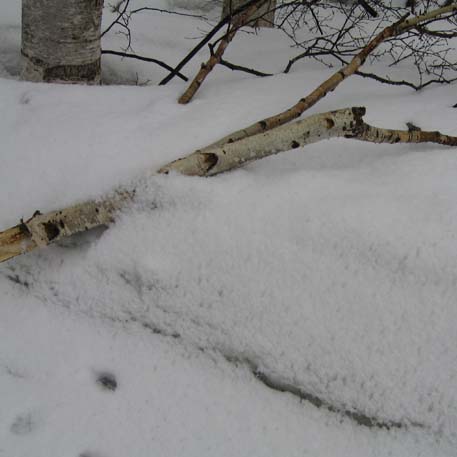 f:id:atarou:20100323191014j:image