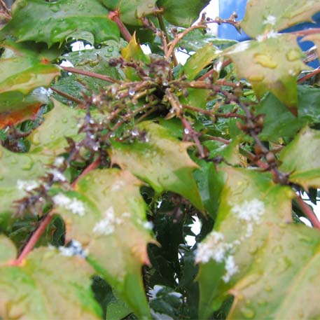 f:id:atarou:20100324053056j:image