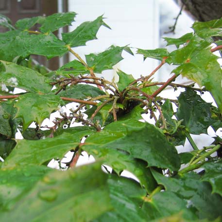 f:id:atarou:20100324053057j:image