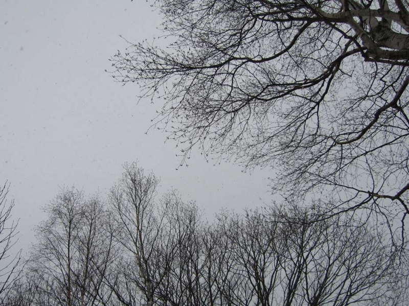 f:id:atarou:20100324054431j:image