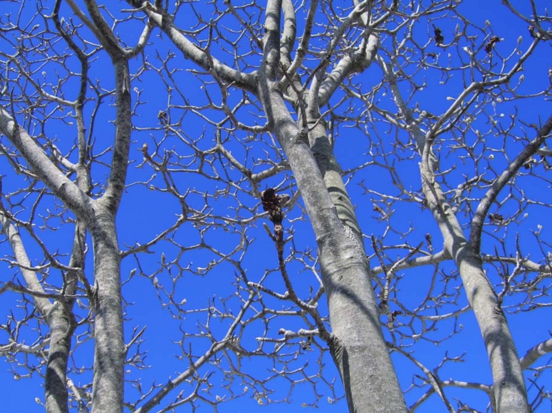 f:id:atarou:20100325062536j:image