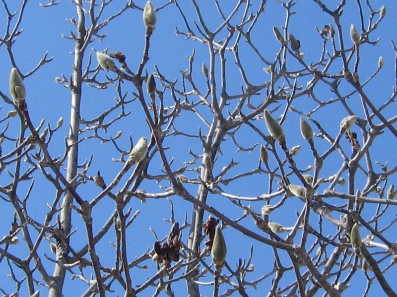 f:id:atarou:20100325062537j:image