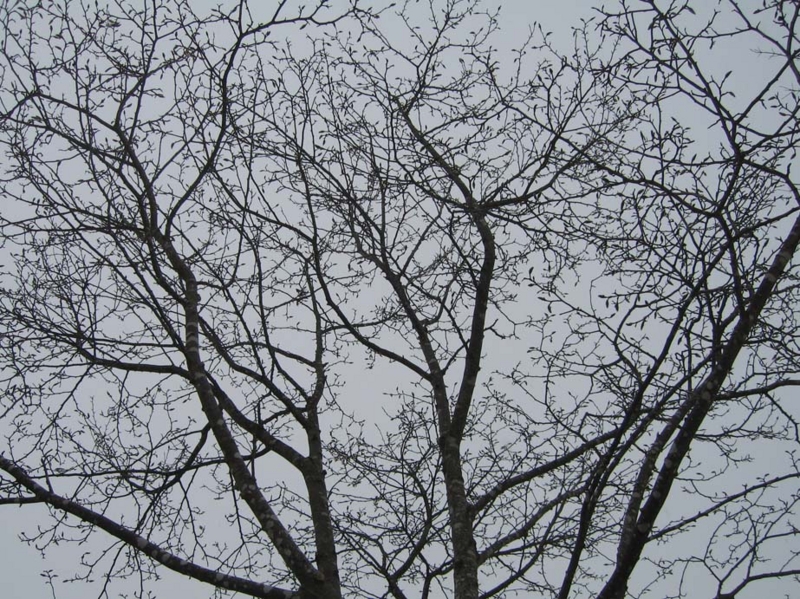 f:id:atarou:20100325192420j:image