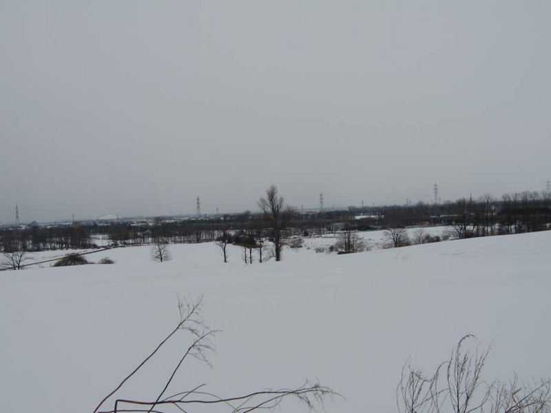f:id:atarou:20100327191801j:image f:id:atarou:20100327191801j:image