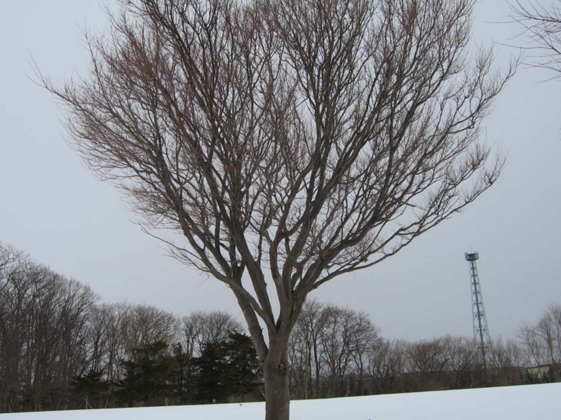 f:id:atarou:20100328054417j:image f:id:atarou:20100328054417j:image