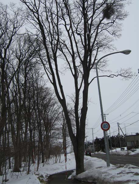 f:id:atarou:20100328055623j:image f:id:atarou:20100328055623j:image