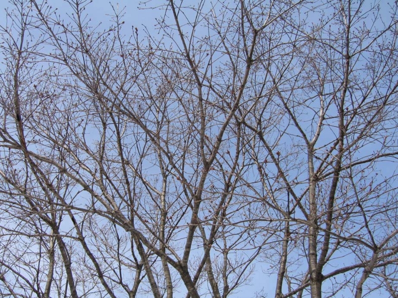 f:id:atarou:20100328155004j:image