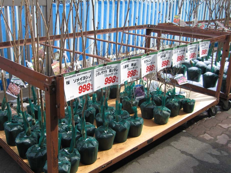 f:id:atarou:20100328161913j:image