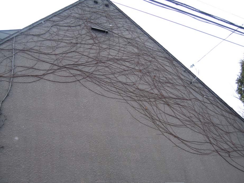 f:id:atarou:20100328163448j:image