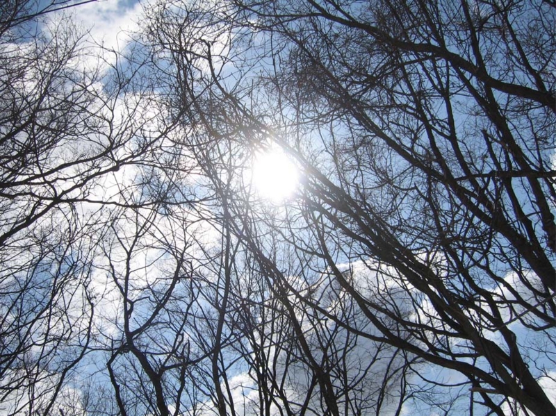 f:id:atarou:20100329191711j:image