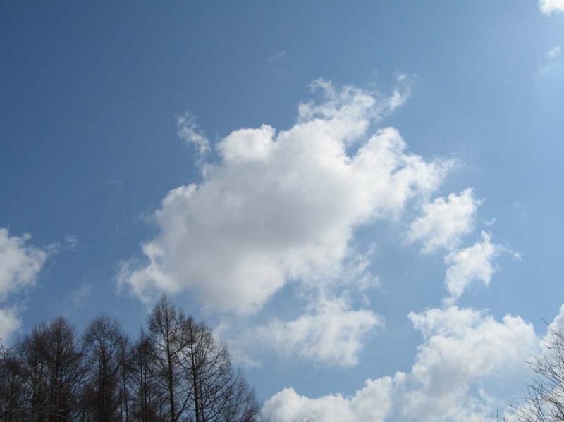 f:id:atarou:20100330054428j:image