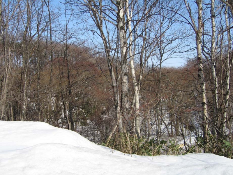 f:id:atarou:20100330190654j:image