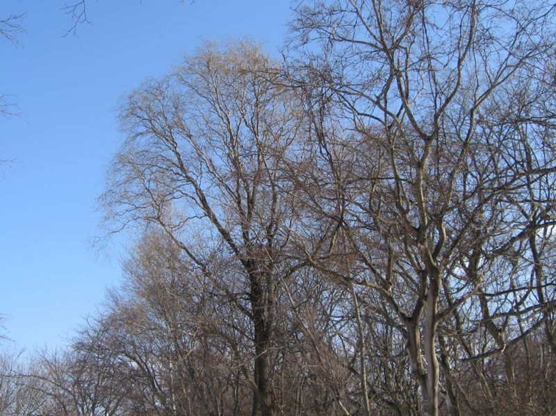 f:id:atarou:20100330194007j:image