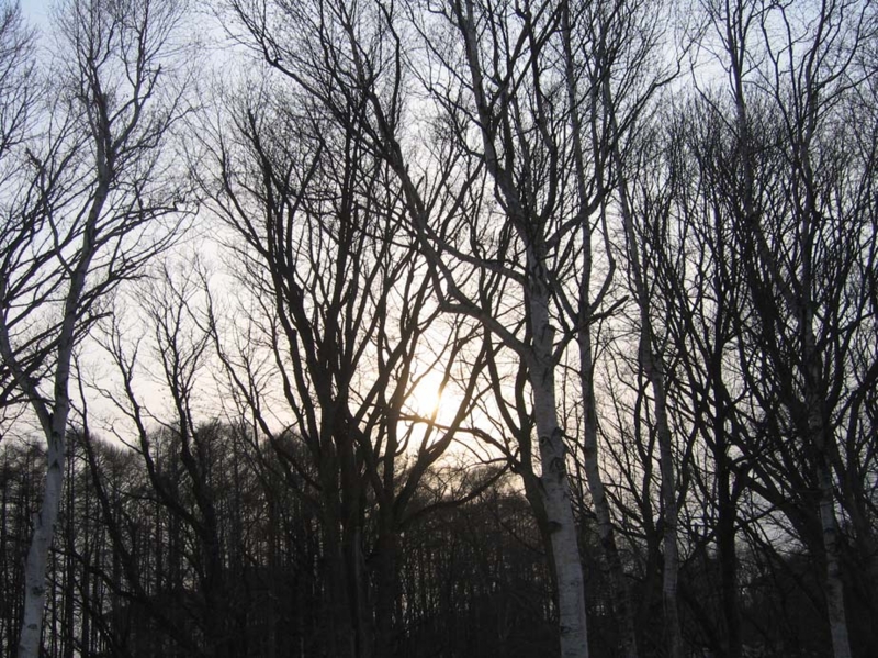 f:id:atarou:20100405192350j:image