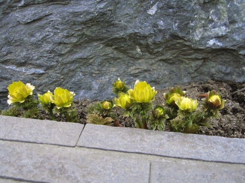 f:id:atarou:20100406061734j:image