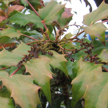 f:id:atarou:20100406061735j:image