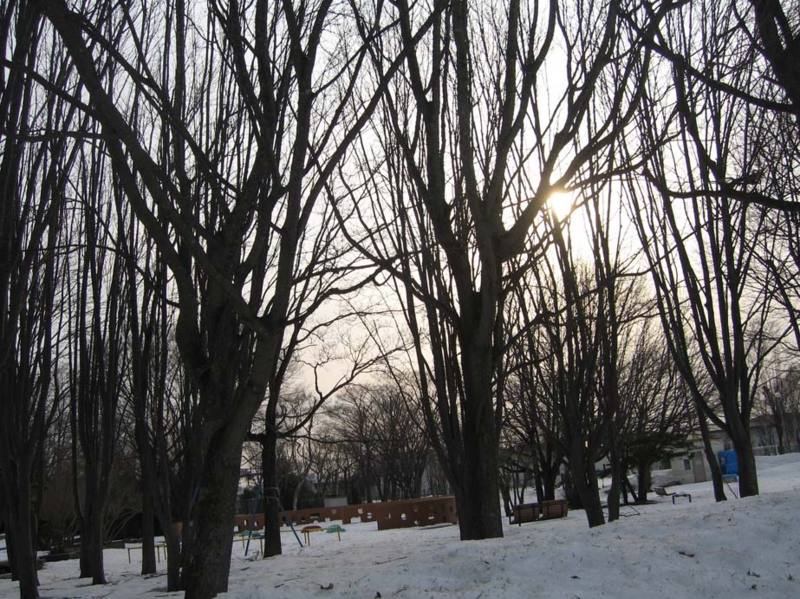 f:id:atarou:20100406064027j:image
