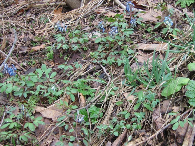 f:id:atarou:20100422065309j:image f:id:atarou:20100422065309j:image