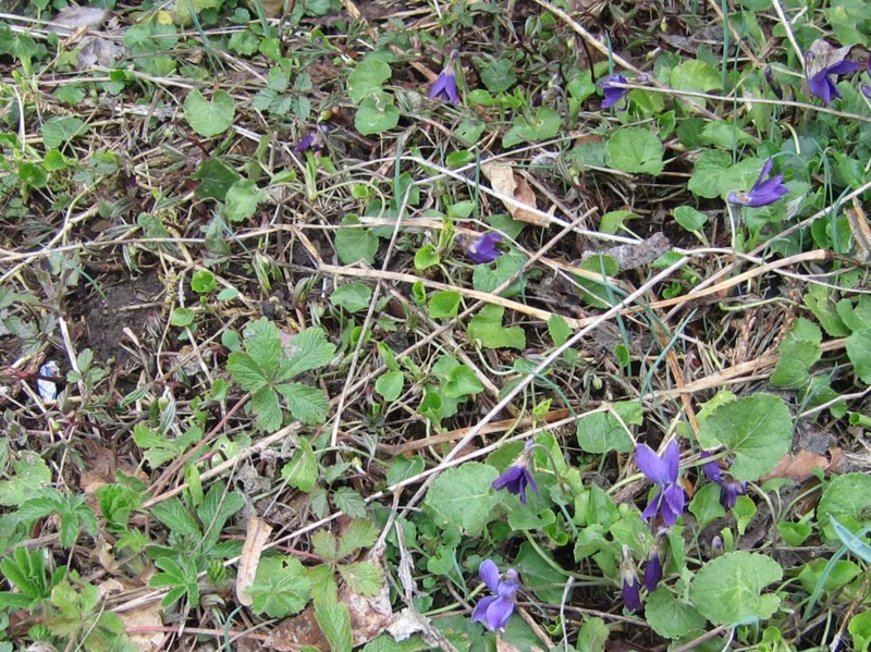 f:id:atarou:20100422065941j:image f:id:atarou:20100422065941j:image