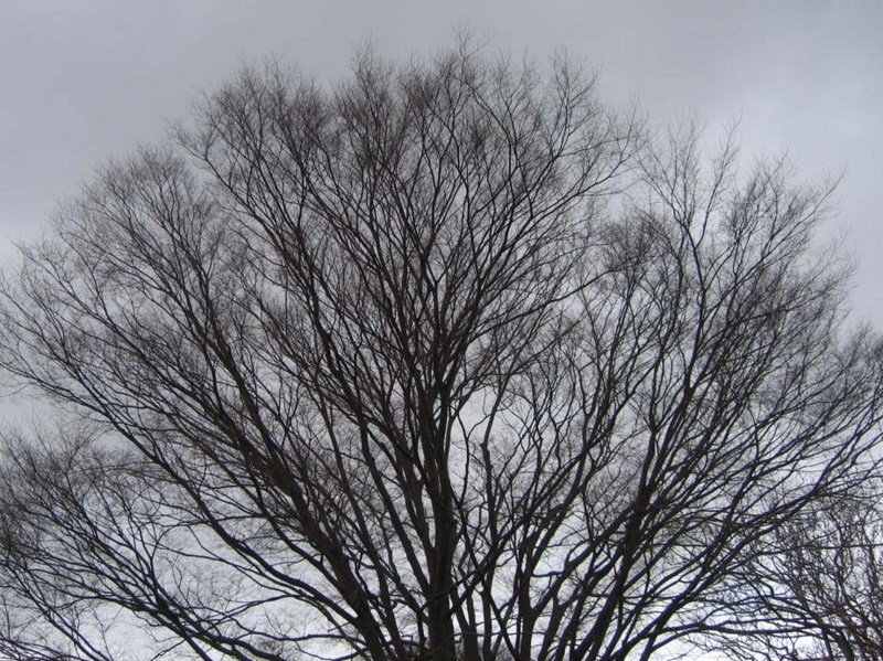 f:id:atarou:20100422070424j:image f:id:atarou:20100422070424j:image