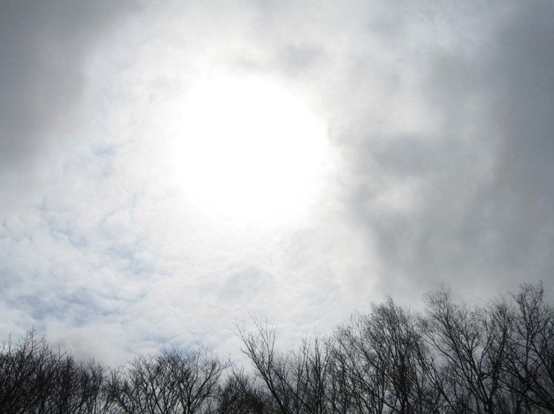 f:id:atarou:20100422071457j:image f:id:atarou:20100422071457j:image