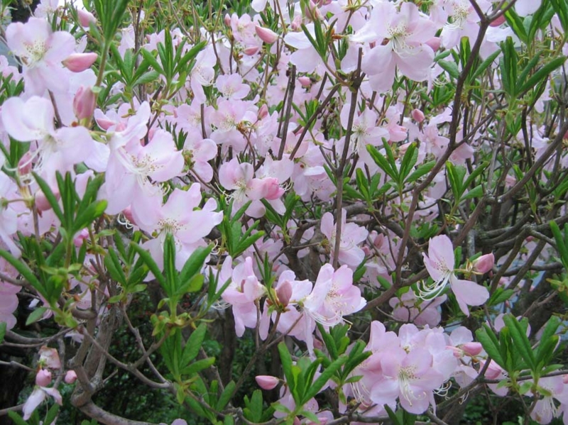 f:id:atarou:20100521054352j:image
